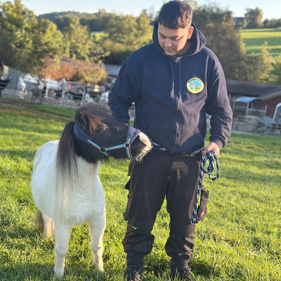 Ausgesetztes Mini-Pony hat eine neue Herde