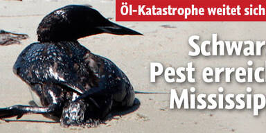 Ölpest erreicht nun Mississippi