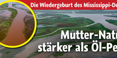 Mississippi-Delta von Ölpest erholt