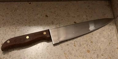 67-J&auml;hrige in Wien-Hietzing von Polizei erschossen: Frau &ouml;ffnete mit Messer die T&uuml;r