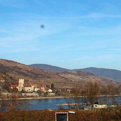 So grün ist derzeit Österreich