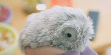 Kuschel-Hit: Jetzt gibt&rsquo;s KI auch als Haustier