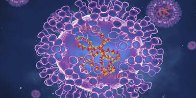 Nach Corona: N&auml;chster Virus-Alarm in Gro&szlig;britannien