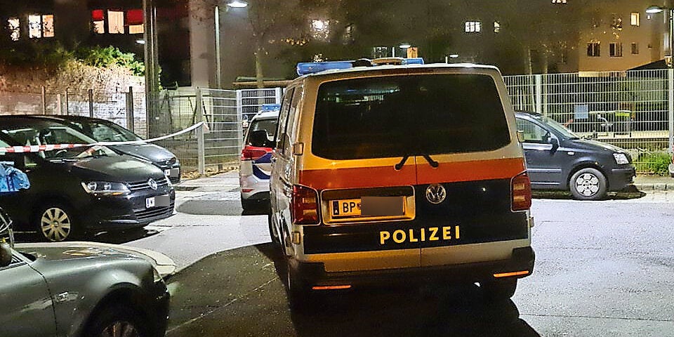 Mord in Geisterhaus in Meidling: Täter war Frau