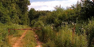 Sex-Mord: Opfer in Keller zerstückelt