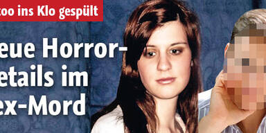 Neue Horror-Details im Wiener Sex-Mord