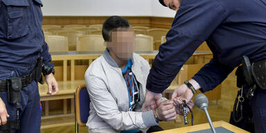 Cousin erstochen: Mordprozess in Wien vertagt