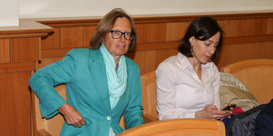 Grasser: Grüne zahlt 17.000 Euro 