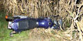 Biker bei Crash mit Reh schwer verletzt
