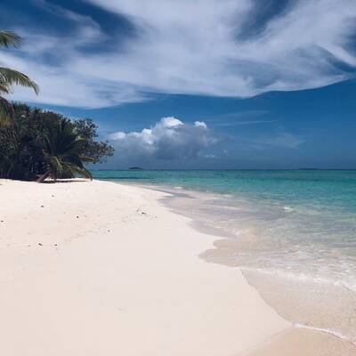 Nadine im Mund eines Pottwals