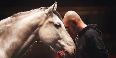 Pferde-Choreografie bei der Mozartwoche
