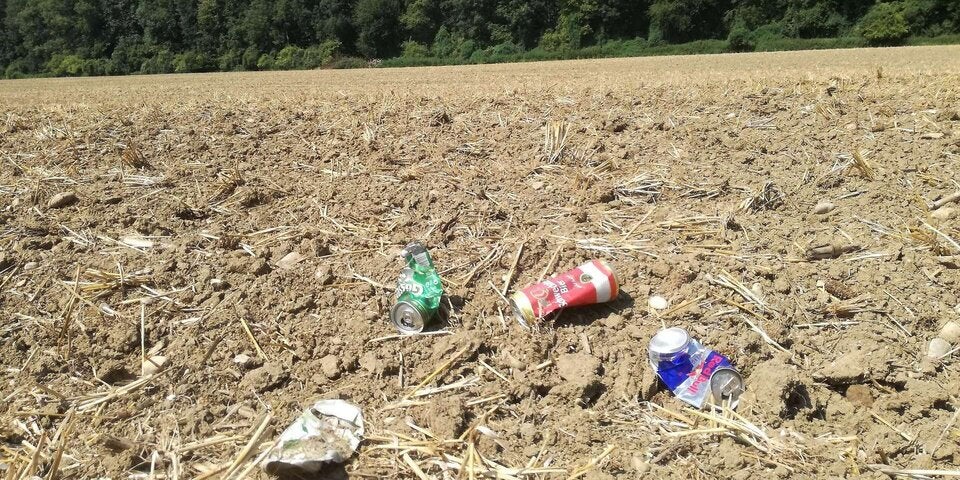 Müll und Hundekot gefährden Rinder