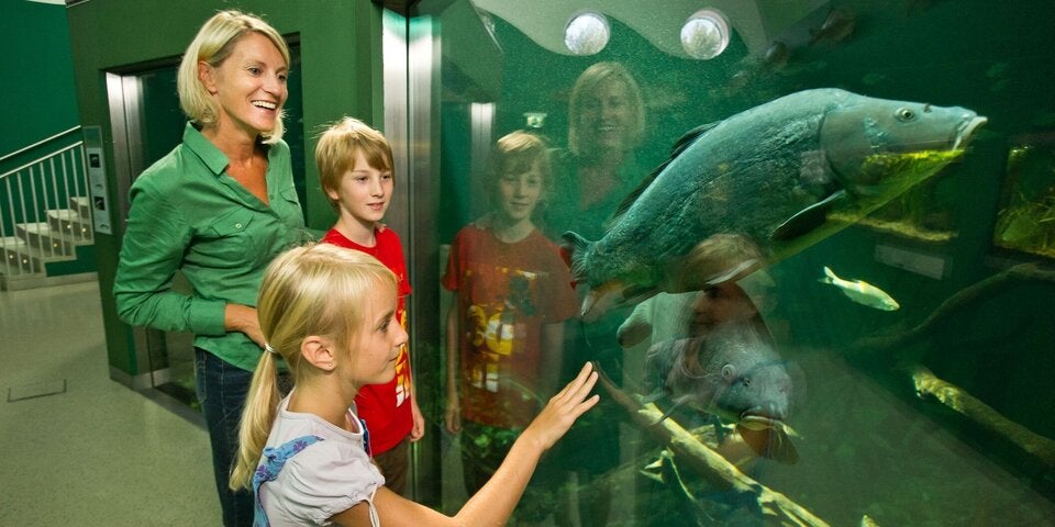 Museum Niederösterreich