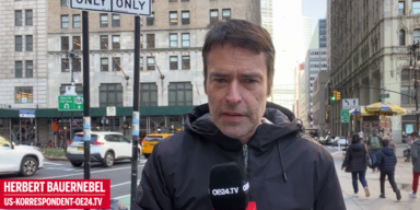 Musk fordert Moratorium f&uuml;r KI-Entwicklung.png