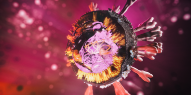 Corona: Große Sorge um neue New York Mutation