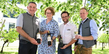 Nieder&ouml;sterreichs Winzer r&auml;umen beim h&auml;rtesten Weinwettbewerb ab