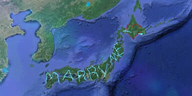 7.163km Fu&szlig;marsch f&uuml;r Heiratsantrag