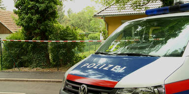 Doppelmord im 22. Bezirk