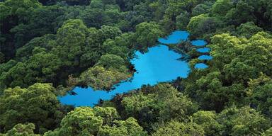 100 Ideen Aufschwung Nachhaltigkeit Umwelt Aufmacher