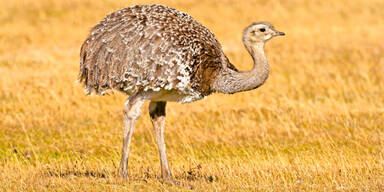 'Sissi' ist wieder bei ihrem 'Franz'