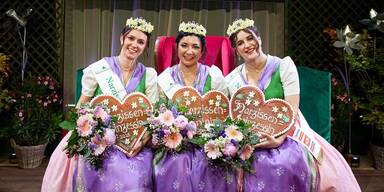 Narzissenk&ouml;nigin gew&auml;hlt