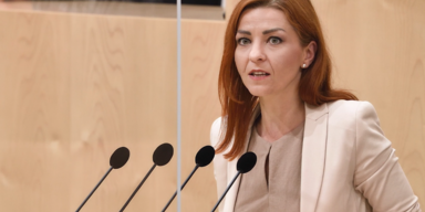 Nationalrat gr&uuml;ne