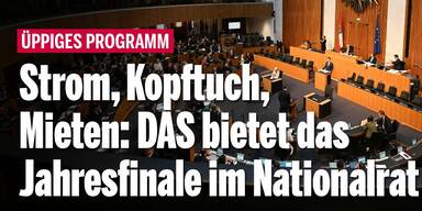 Strom, Kopftuch, Mieten: DAS bietet das Jahresfinale im Nationalrat