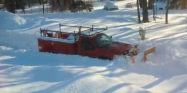 Schneesturm "Nemo" verw&uuml;stet US-Ostk&uuml;ste