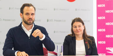 Neos kämpfen für niedrige Energiepreise