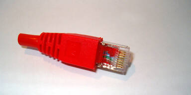 Netzwerkstecker