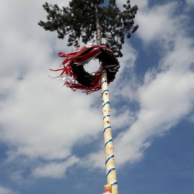Maibaum in Auggenthal