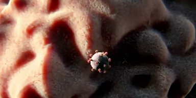 Neue Corona-Variante