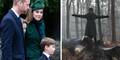Prinz William, Kate, Louis