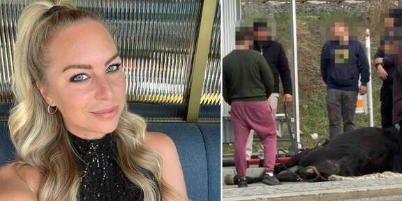 Fiaker-Drama in Simmering: TV-Moderatorin Nadine Friedrich wütet gegen Stadt Wien