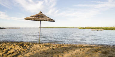 Natursch&uuml;tzer formieren sich gegen Gro&szlig;projekt am Neusiedler See