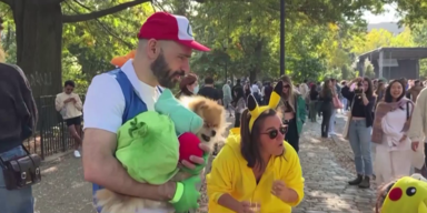 New York Hunde & Besitzer zeigen Halloween Kost&uuml;me.png