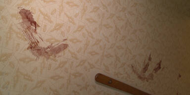 Wien: 11-J&auml;hriger sticht auf Vater ein