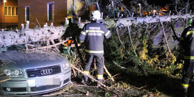 News_TV_151201_Sturm.Standbild001.jpg