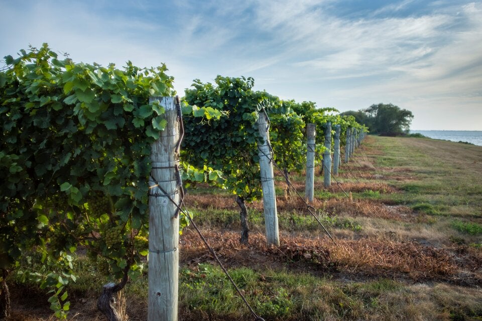 Abenteuerroute: Per Wohnmobil durch Ontario