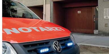 NiesnerFTP-Fensterneu