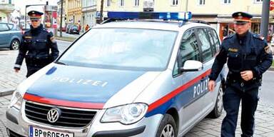 NiesnerFTP-PolizeiGraz08