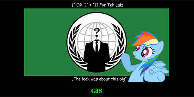 Anonymous GIS Hacker