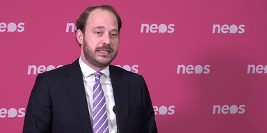 Parteiengesetz: NEOS legen Vorschlag für parteinahe Vereine vor