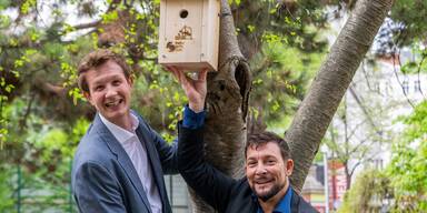 Nistkasten Schreiner Rumelhart