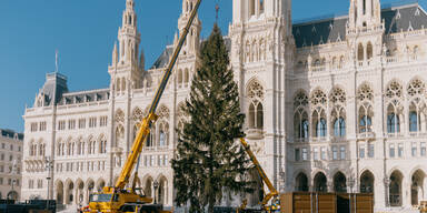 christbaumrathausplatz