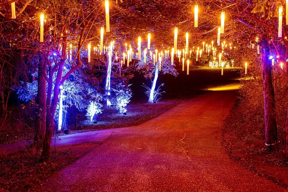 Neuer 3 km langer Rundweg führt durch den illuminierten Schlosspark.