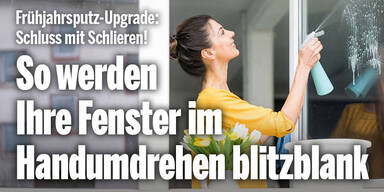 Anzeige shopping 0323 oe24