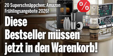 Anzeige shopping 0313 oe24