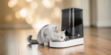 Kurzurlaub geplant? Dieses Gadget f&uuml;ttert Ihre Katze &ndash; auch wenn Sie weg sind!