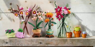 Bl&uuml;ten ohne Gie&szlig;en: Die sch&ouml;nsten LEGO Blumen-Sets im gro&szlig;en &Uuml;berblick